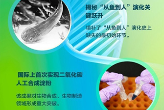 【学习强国】kaiyun官网入口创新成果速览（二）